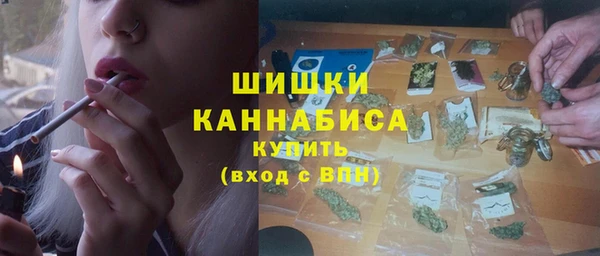 шишки Нязепетровск