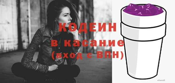 шишки Нязепетровск