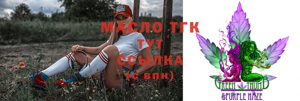 шишки Нязепетровск