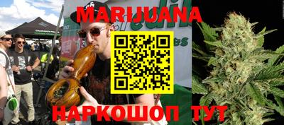 стаф Донской