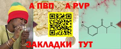 стаф Донской