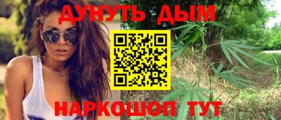 стаф Донской