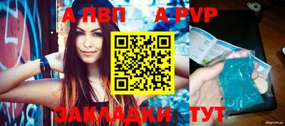 стаф Донской