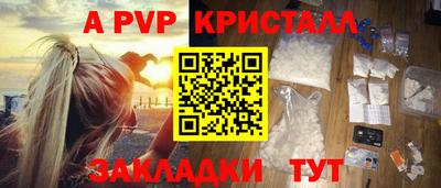 стаф Донской