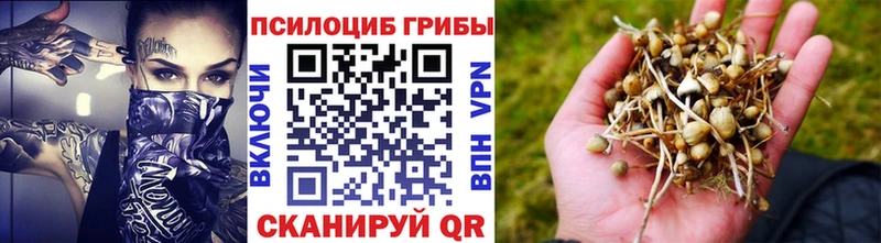 Галлюциногенные грибы мицелий  как найти закладки  блэк спрут ONION  shop как зайти  Лиски 