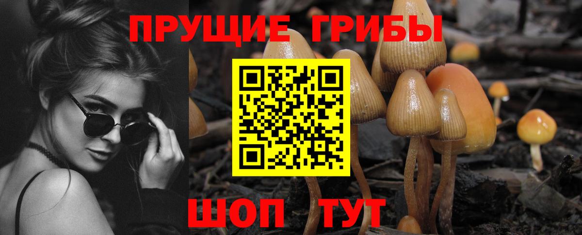 Галлюциногенные грибы GOLDEN TEACHER Лиски