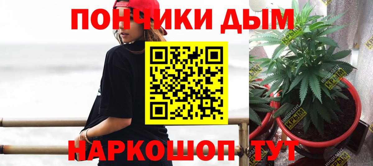 Бошки Шишки план  Канабис план  Вход с VPN  Лиски  Бошки Шишки ГИДРОПОН  Каннабис Amnesia 